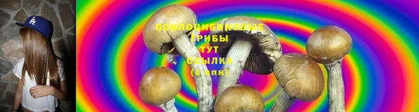 прущие крисы Абаза