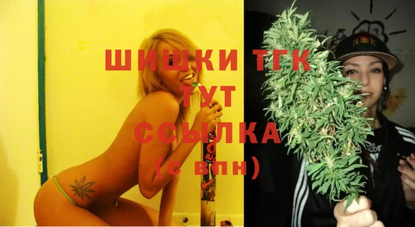 прущие крисы Абаза