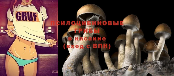 прущие крисы Абаза
