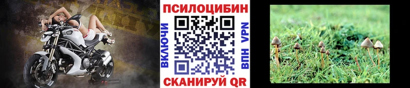 Галлюциногенные грибы ЛСД Княгинино